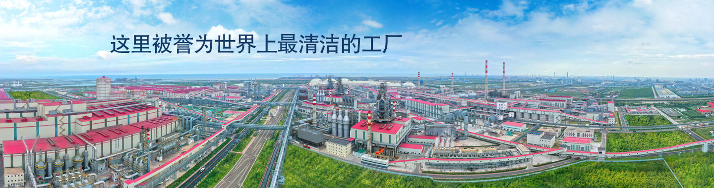 【續約】河鋼唐鋼與麟威咨詢攜手精益之路 